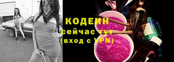 apvp Коряжма