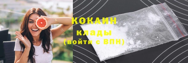 прущие грибы Краснослободск