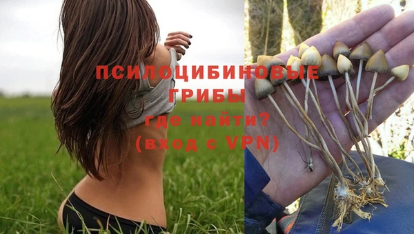 соль курить ск Корсаков